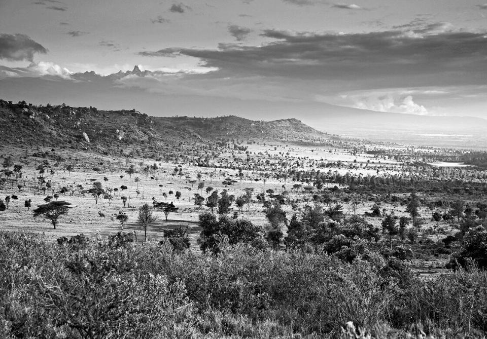 steppenartige Landschaft im Laikipia County in Zentralkenia