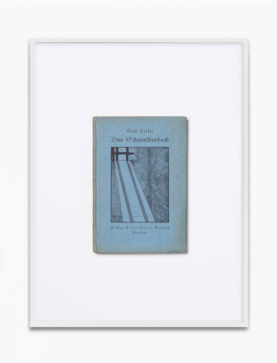 Buchcover von «Das Schwalbenbuch» von Ernst Toller in einem Bilderrahmen