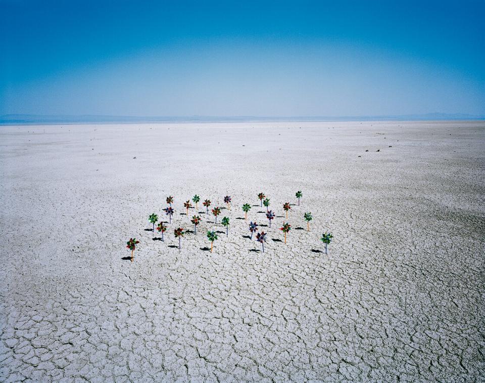 Adam Ekberg, Grid of Pinwheels, 2015, Pigmentdruck
