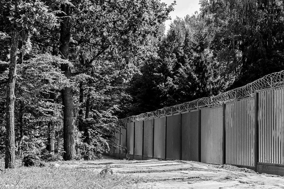 Polens Grenzzaun durchschneidet den ältesten Wald Europas