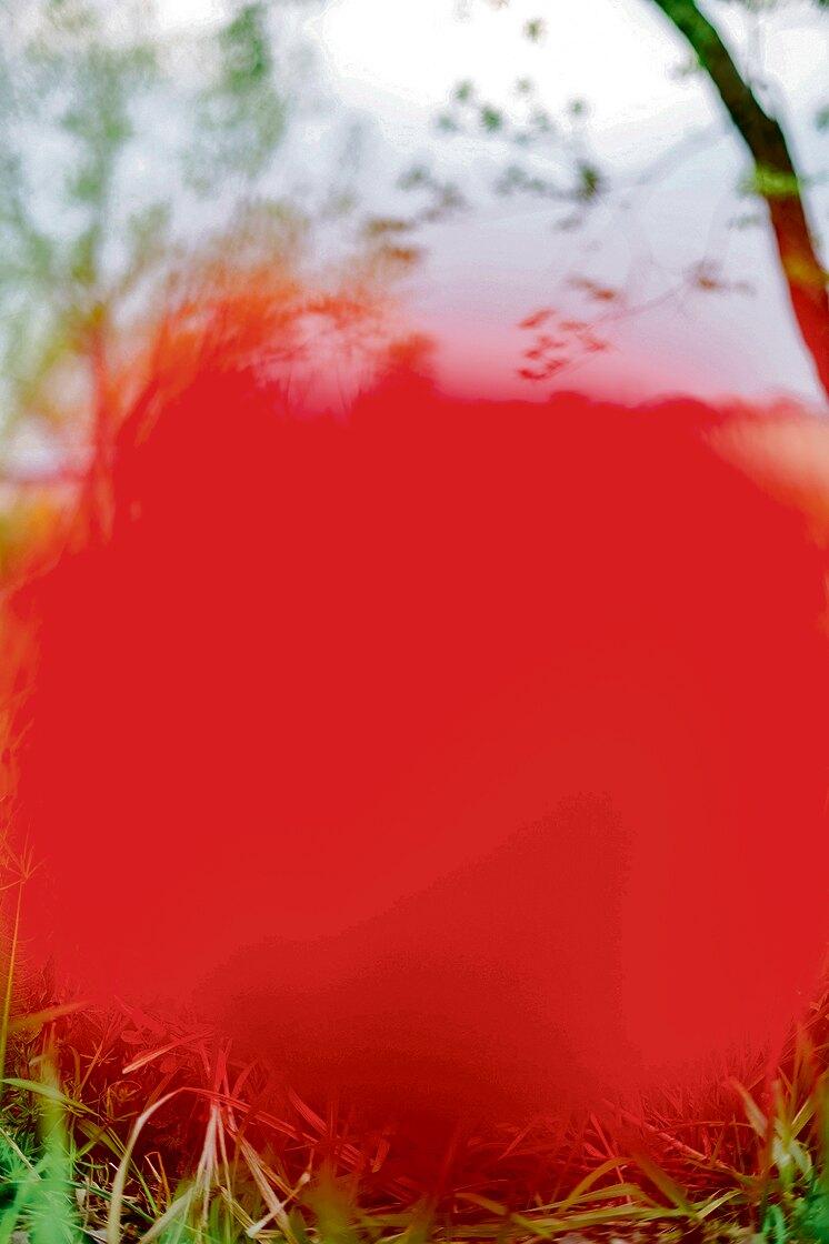 Yoshinori Mizutani, Yusurika 024, 2015, Pigmentdruck, 145,6 × 97 cm