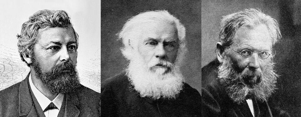 Abbildungen von Ludwig Forrer, Herman Greulich, Ulrich Dürrenmatt