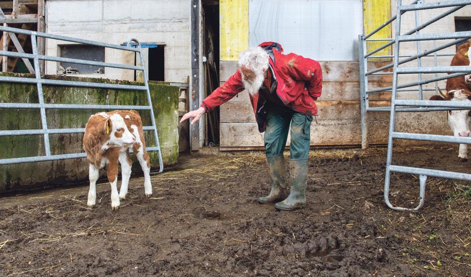 Maurus Gerber mit einem Kalb auf seinem früheren Hof in Sainte-Croix VD