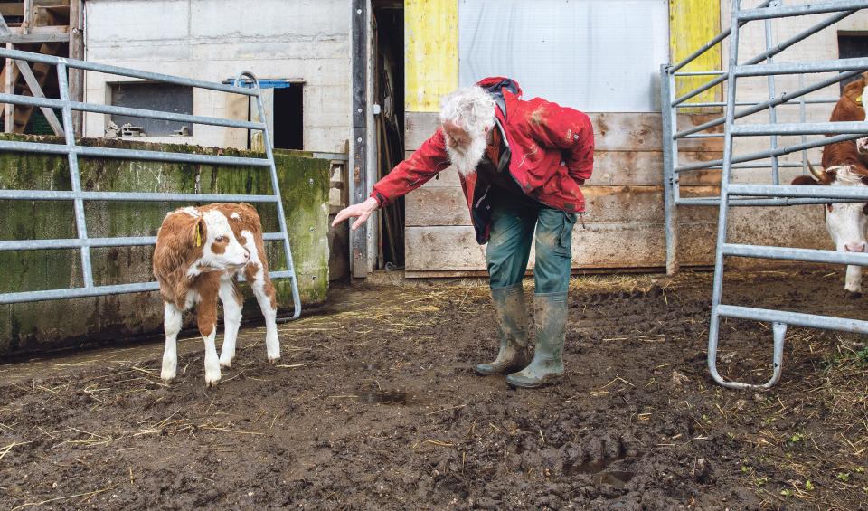 Maurus Gerber mit einem Kalb auf seinem früheren Hof in Sainte-Croix VD