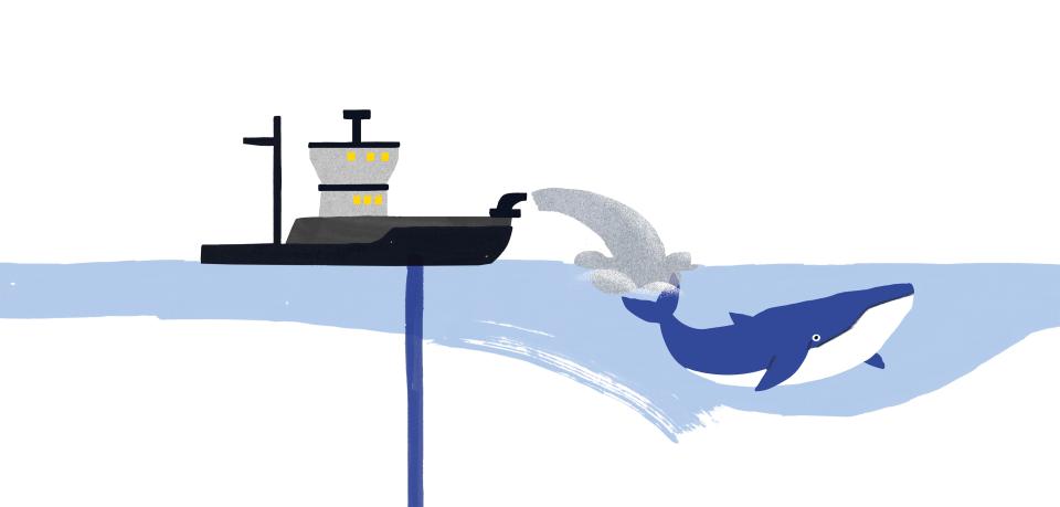 Illustration von Alice Kolb: ein Schiff und ein Walfisch