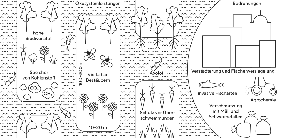 Infografik zu Ökosystemleistungen und Bedrohungen