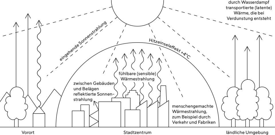 Infografik zum Hitzeinseleffekt von Städten