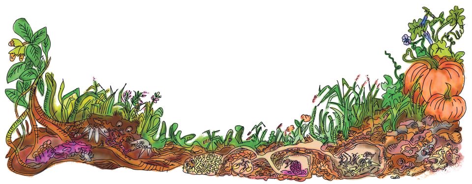 Illustration von Franziska Meyer