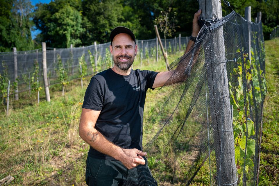 Winzer Stephan Herter in seinem Rebberg