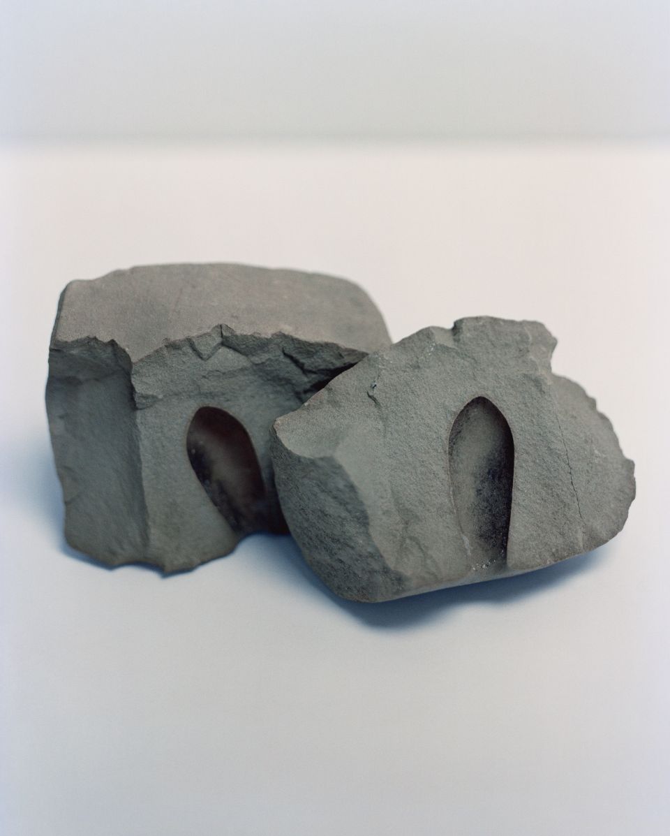 Abgüsse von beim Tunnelbau gefundenen Fossilien