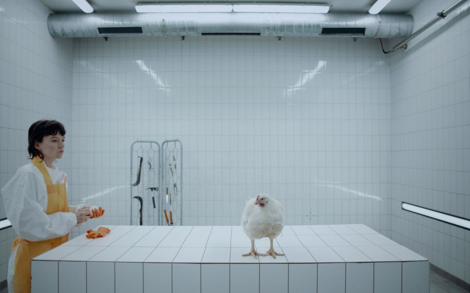Filmstill aus «Lux Carne»