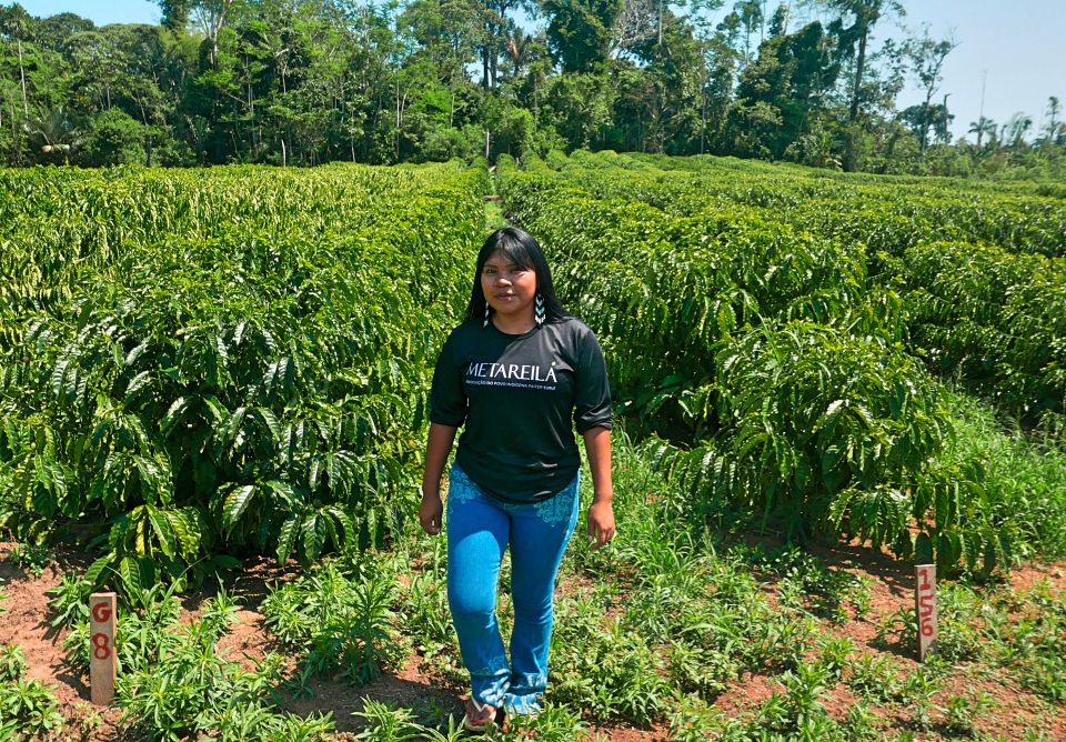 Kaffeebäuerin Celeste Suruí 