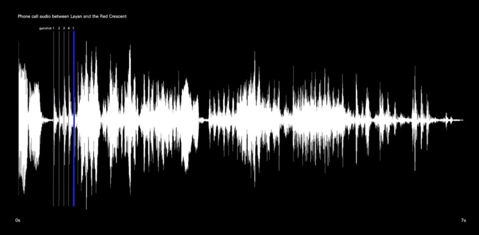 Screenshot einer visuellen Darstellung einer Audioaufnahme
