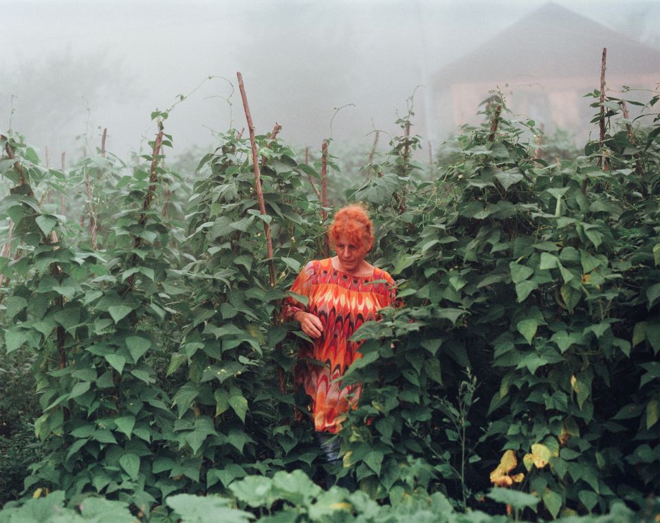 Bild aus der fotografischen Serie «The Dispossessed» von Cansu Yıldıran: eine Frau steht in einer Plantage mit Bohnenstauden