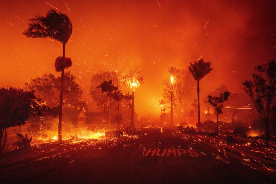 Feuersbrunst in Los Angeles: Bäume und Häuser stehen in Flammen