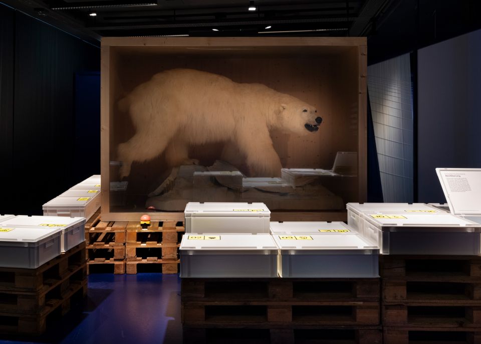 Exponat in der Ausstellung «Grönland. Alles wird anders»: ein ausgestopfter Eisbär hinter Glas