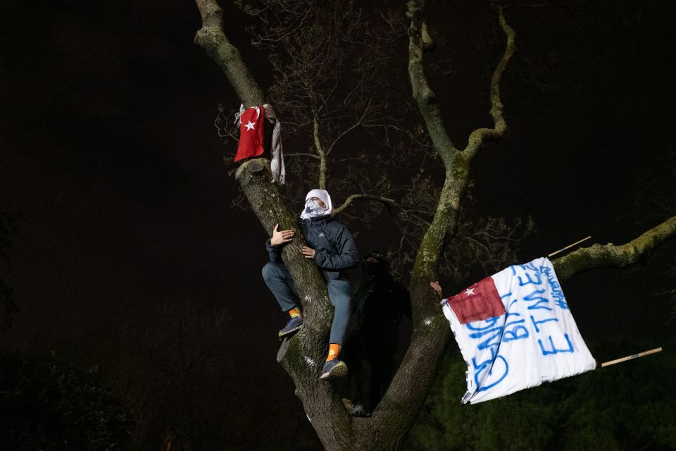 eine Junge Person auf einem Baum bei den Massenprotesten in Istanbul