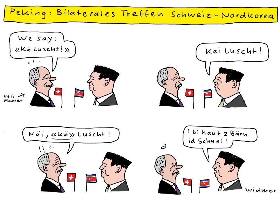 Cartoon von Ruedi Widmer