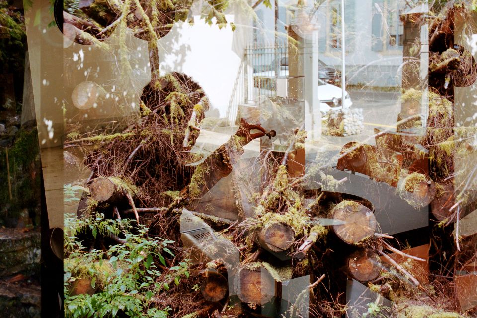 Foto-Doppelbelichtung: ein Mann degustiert Absinth im Maison de l’Absinthe, Holzstämme im Wald