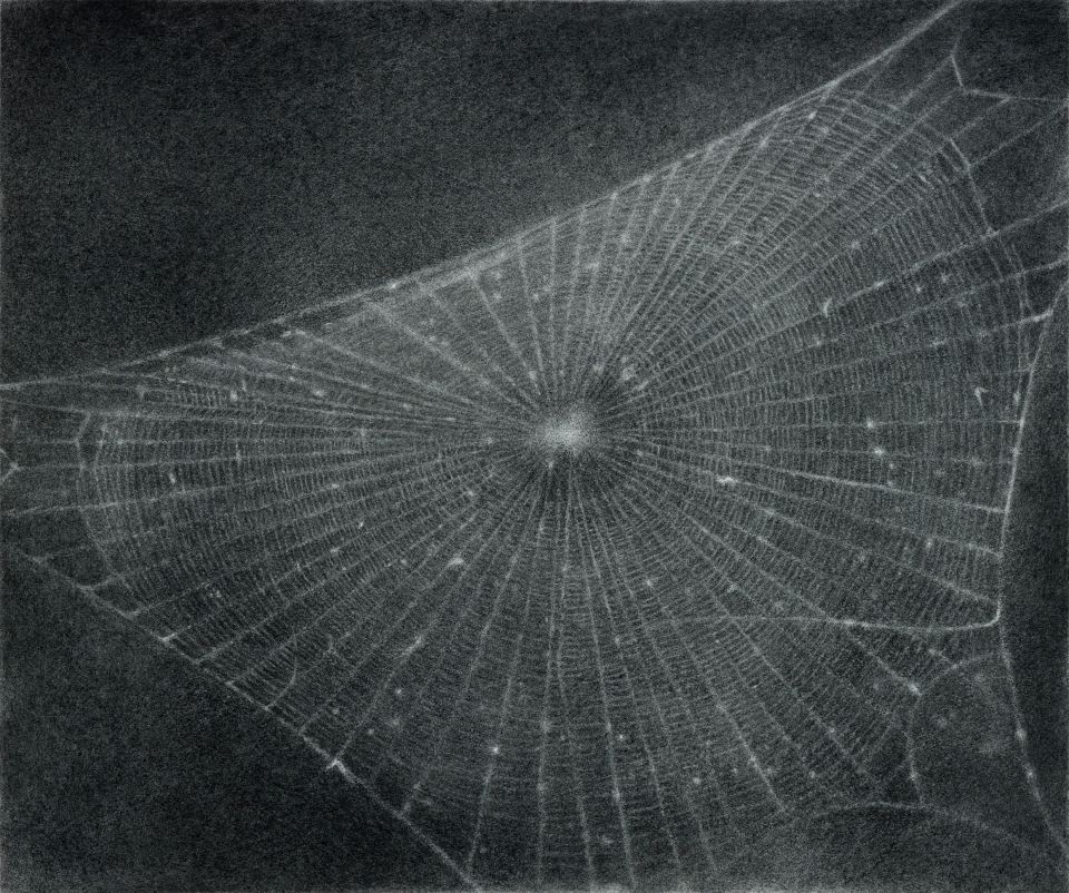 Kunstwerk «Untitled (Web #1)»