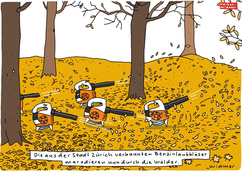 Cartoon von Ruedi Widmer