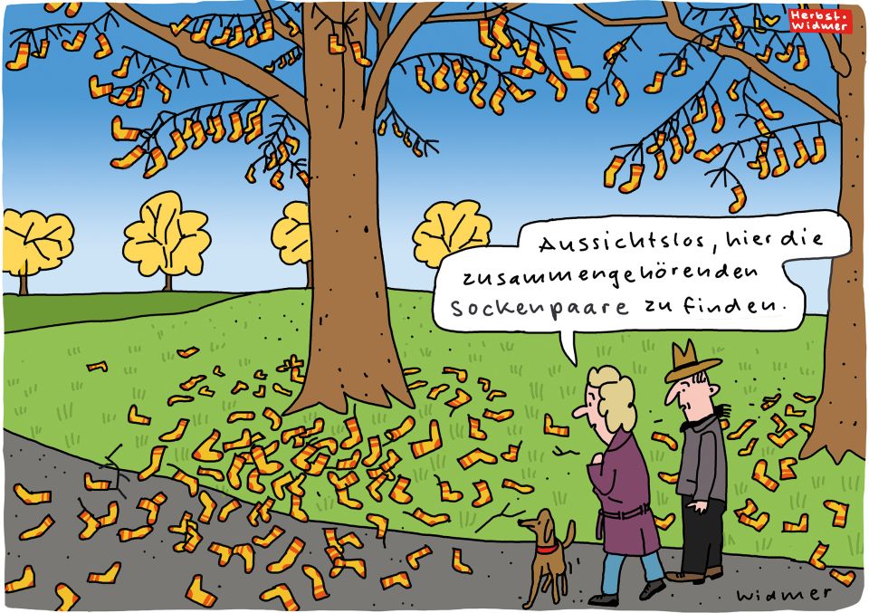 Cartoon von Ruedi Widmer