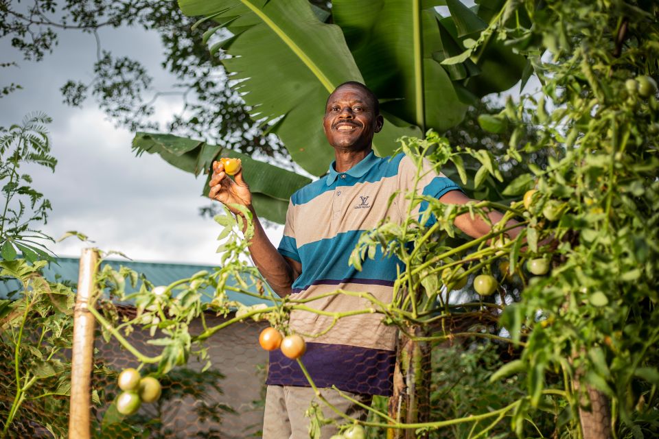 Royd Michelo hält eine selbst gepflückte Tomate in der Hand