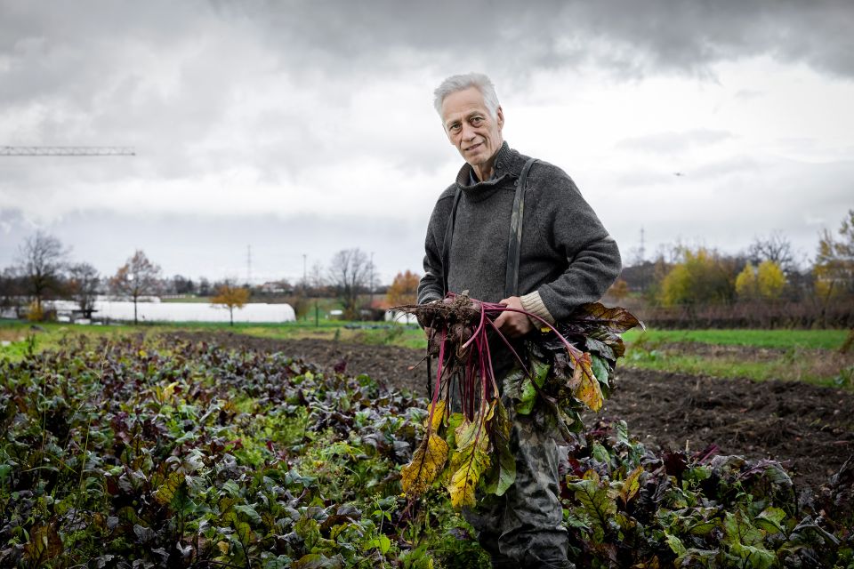 Rudi Berli auf seinem Gemüsefeld
