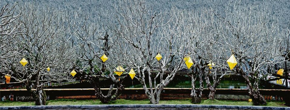 Ralf Peters, Citrus, 2017, C-Print, Diasec, 60 × 141,5 cm