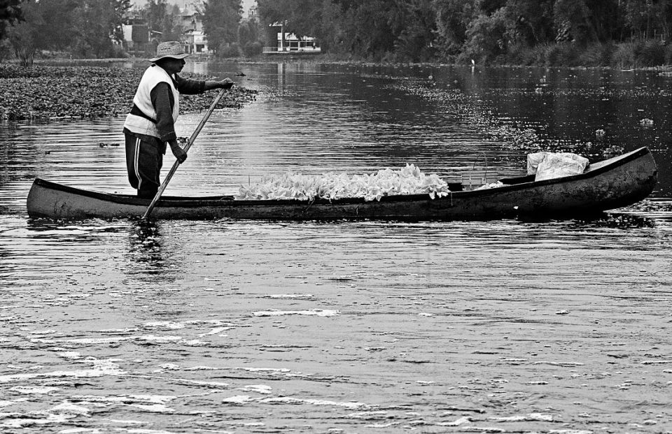 Gefährdete Idylle: die Kanäle von Xochimilco in Mexiko-Stadt