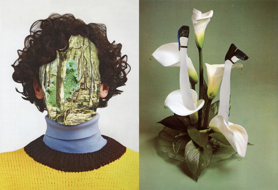 Fotocollage: eine Person wo das Gesicht mit einem Wald-Bild und einem Bild einer Meeres-Schnecke ersetzt wurde, daneben ein Bild wo eine Blume mit den Beinen einer Person verschmelzen