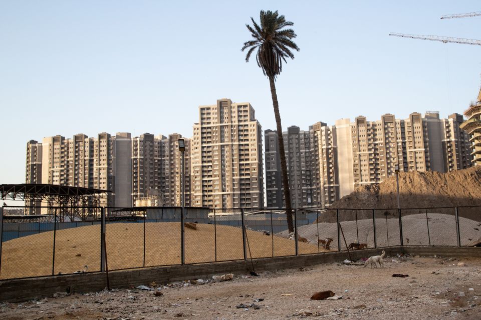 Strassen-Hunde auf einer Brache vor Neubauten an zentraler Lage im Maspero-Viertel