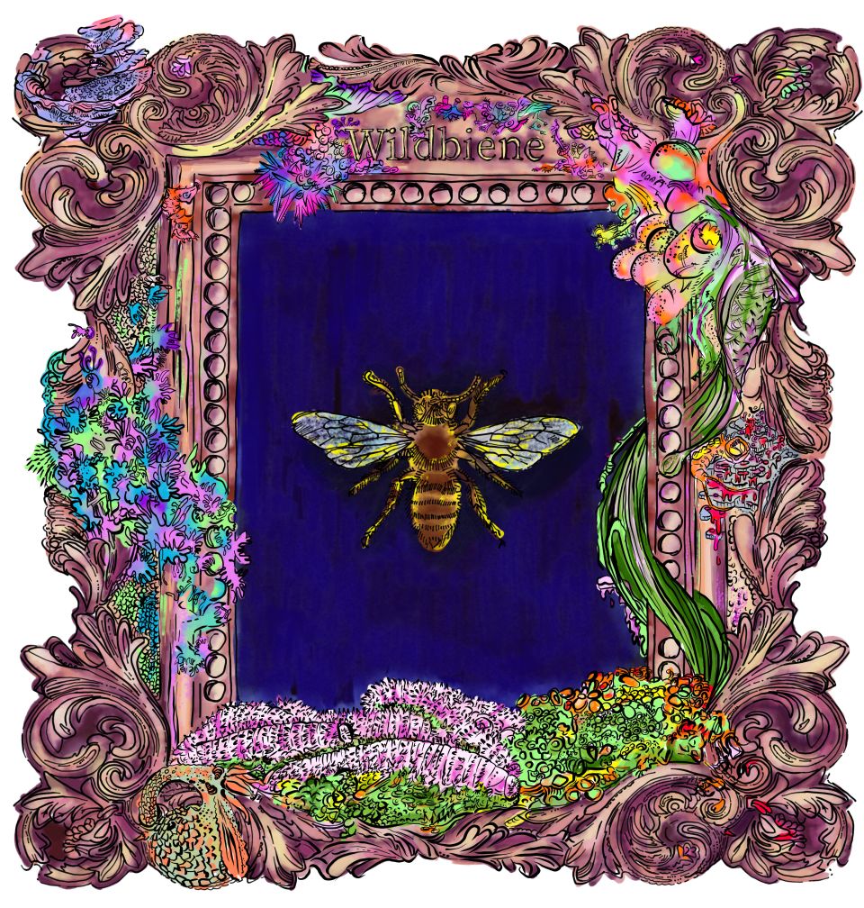 Illustration von Franziska Meyer: ein gerahmtes Bild einer Wildbiene