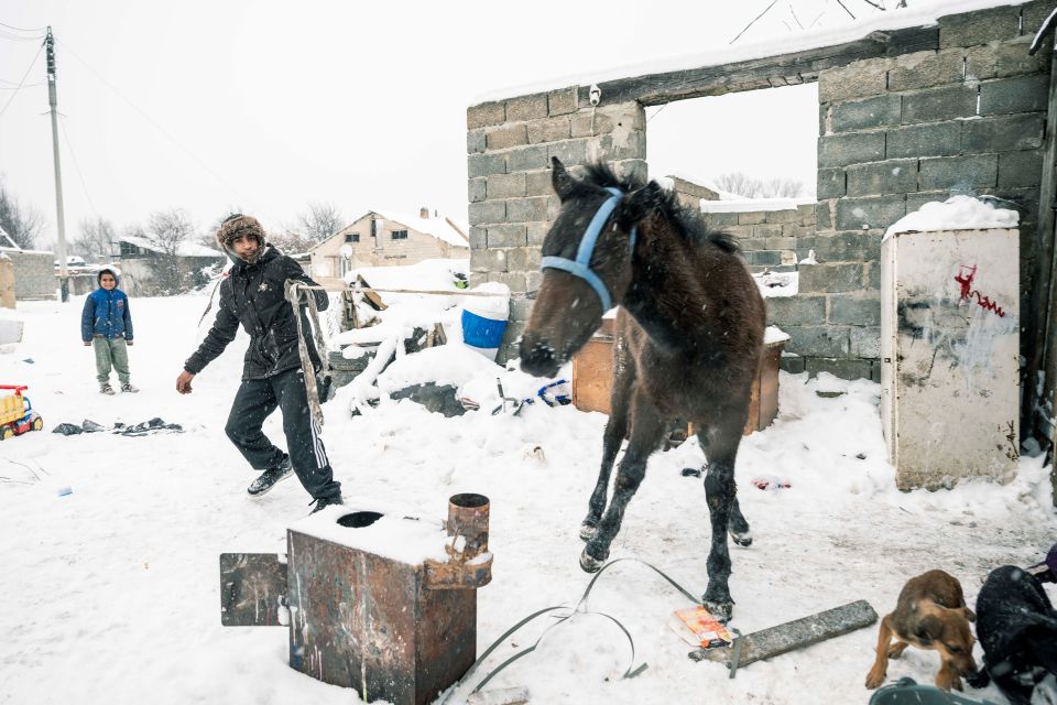 Alex Rác spielt mit einem Fohlen im Schnee