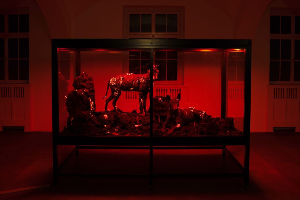 Installation von Benjamin Egger in einer Vitrine: blutrot beleuchtete Hunde