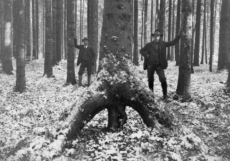 zwei Männer stehen neben einer «Stelzen-Fichte»