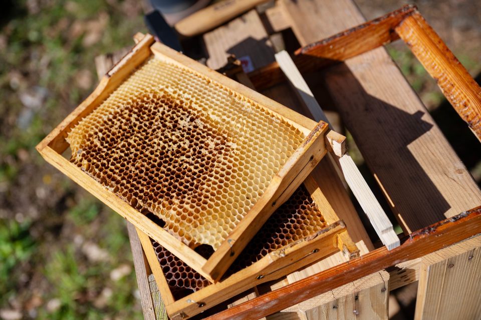 eine Bienenwabe im Holzrahmen