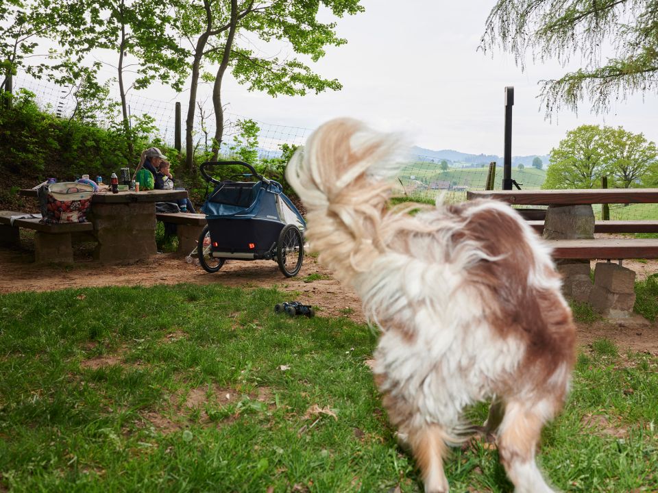 eine Familie und ein Hund auf dem Grillplatz Thomasbödeli oberhalb von Huttwil