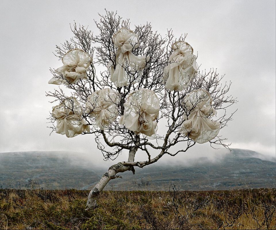 Riitta Päiväläinen, Origin of Clouds, 2026, aus der Serie Phantasma, Archival pigment print, 130 × 155 cm