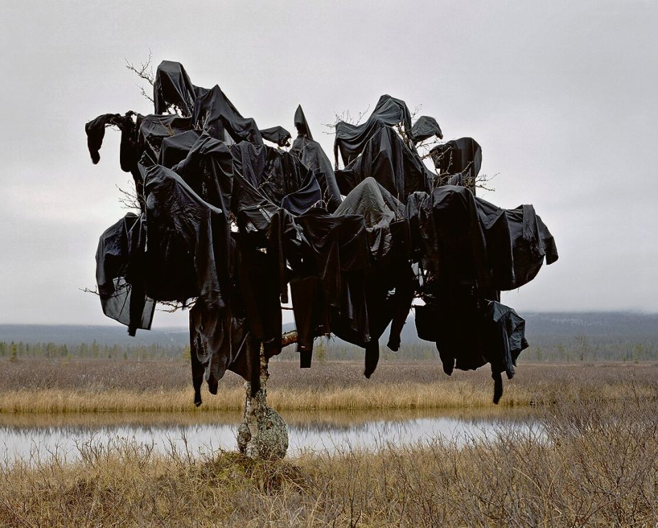 Riitta Päiväläinen, Nest, 2005, aus der Serie „Structura“, Diasec, 100 × 125 cm