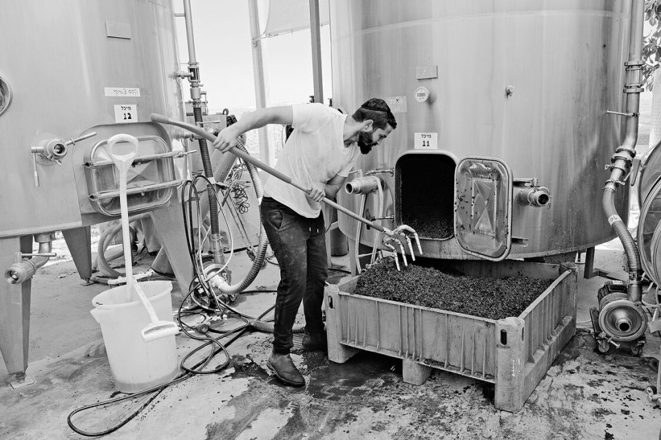 ein Israelischer Winzer leert einen Gärtank