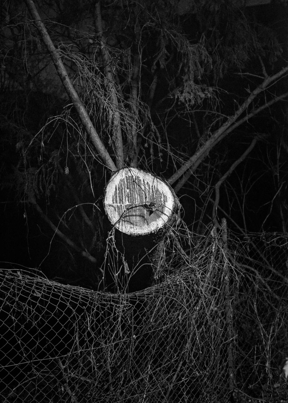 gefällter Baum hinter einem Gitter in der Nacht