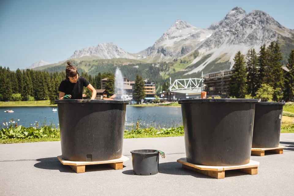 Bettina Tschuor pflegt Kartoffel-Pflanzen in grossen Töpfen des Arvae-Experiment auf dem Dorfplatz von Arosa