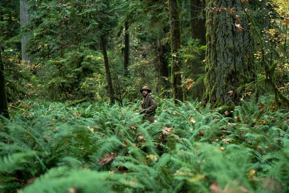 Szene aus dem Film «First Cow»: Mann zwischen Farnen im Wald