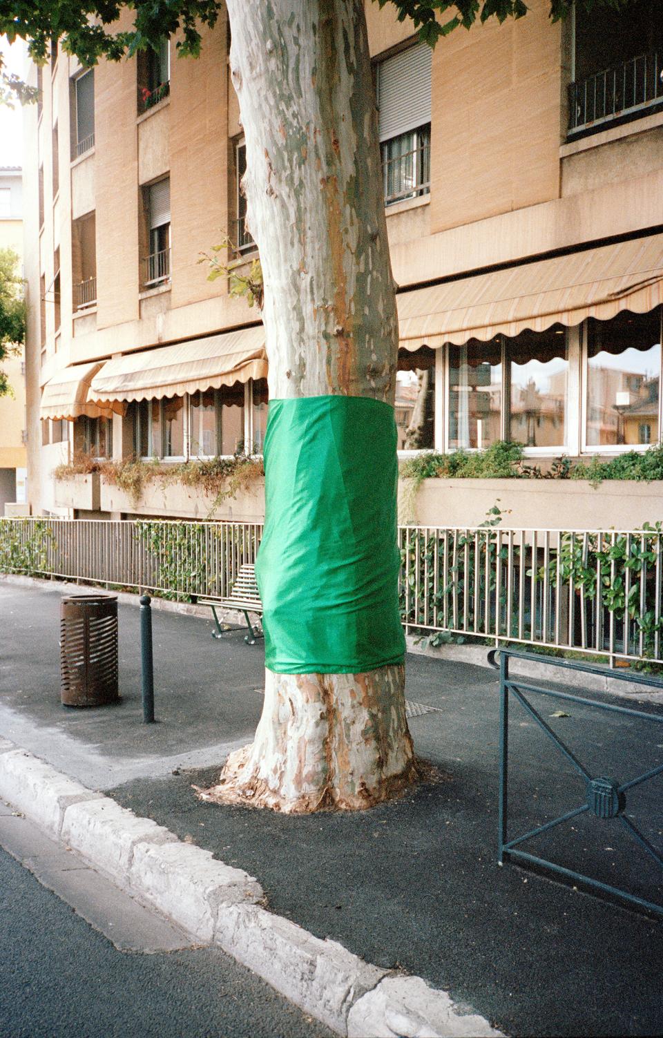 Baum auf dem Gehweg, welcher zum Schutz mit Kunststoff-Folie umwickelt ist