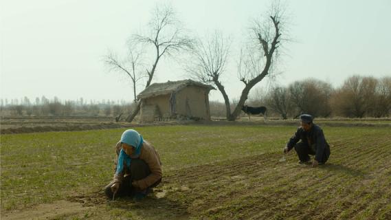 Filmstill aus dem Film «Return to Dust»: zwei Personen bei der Arbeit auf einem Feld