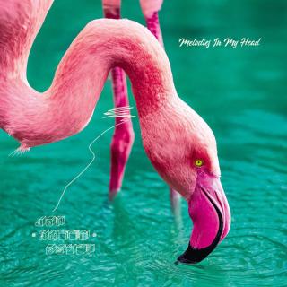 Album-Cover «Joy Anger Doubt» von Melodies In My Head