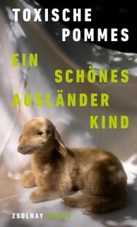 Buchcover von «Ein schönes Ausländerkind»