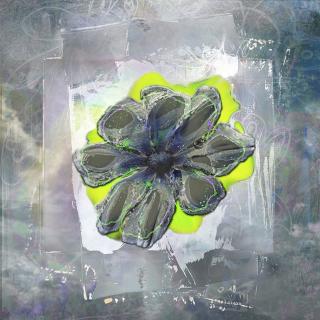 Albumcover «Cemento» von Crème solaire
