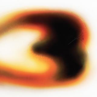 Albumcover «If I Don’t Make It, I Love U» von Still House Plants
